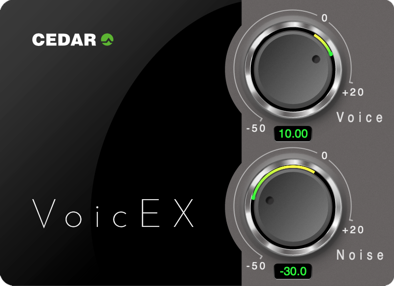 CEDAR VoicEX voice extractor